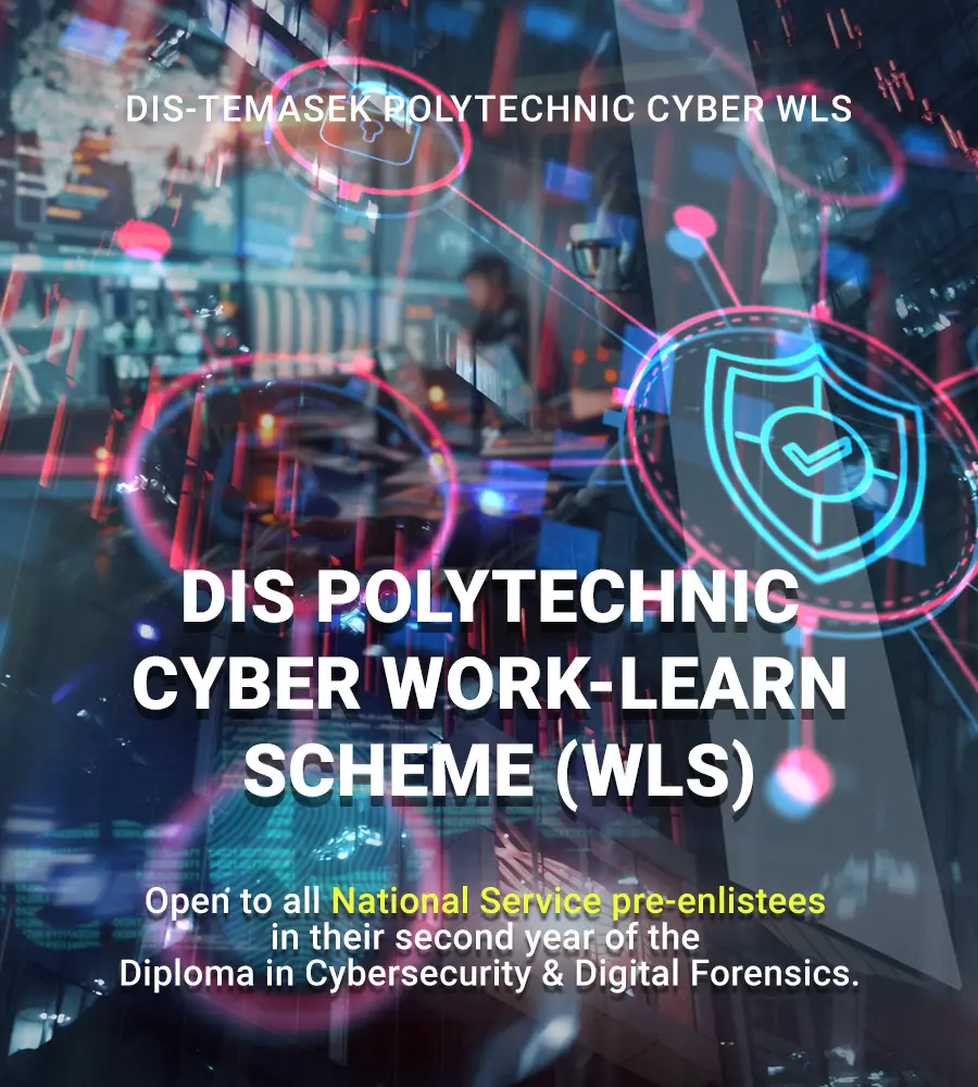 DIS Cyber Work-Learn Scheme