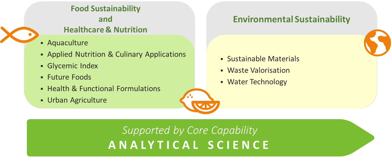 Growth Area Diagram