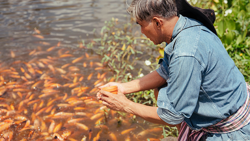 Certificate in SS Good Aquaculture Practices (Local)