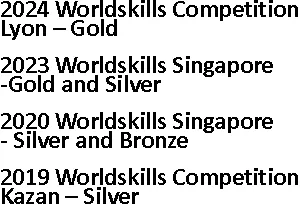 WorldSkills Awards