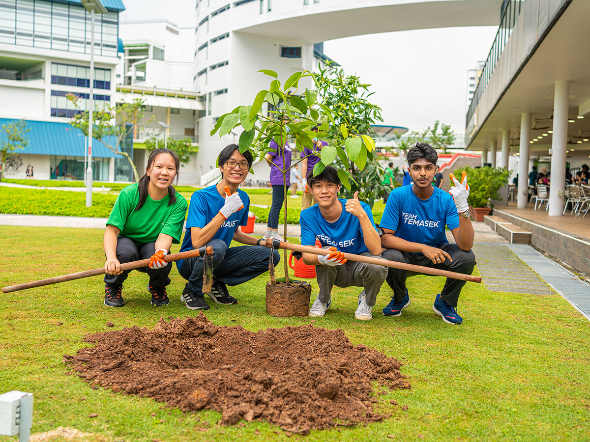 TGIG Tree Planting