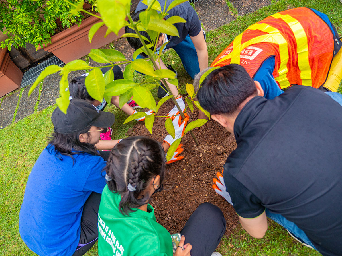 TGIG Tree Planting